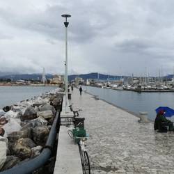 Hafen, Kanal und Strand von Viareggio
