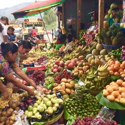 Beautiful local fruit