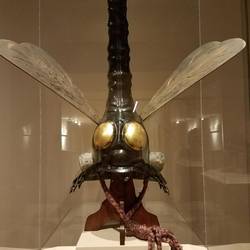 There were large exhibits of Asian art the day we were there. This is a Japanese lacquer.