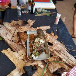 Barramundi fish