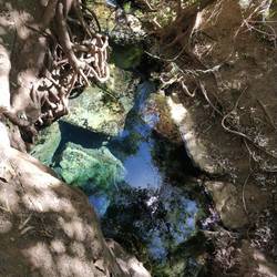 Katherine Hot Springs