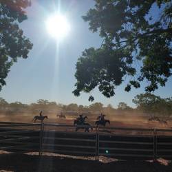 Mataranka sun