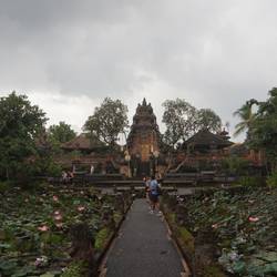 Lotus Garden