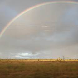An upside of the rainfalls