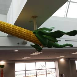O'Corn airlines