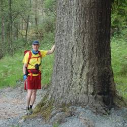 Bob by huge pine tree