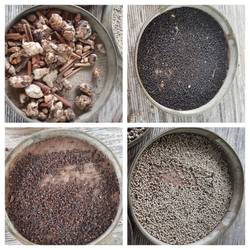 Fernöstliche Gewürze