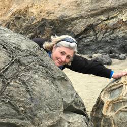Boulders at Moeraki