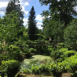 Winter Garden