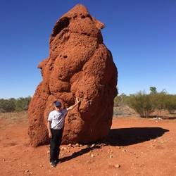 Pretty much the only thing of interest on the Plenty Hightway - a massive ant hill.
