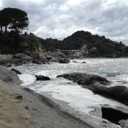 Sant' Andrea