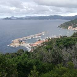 Blick auf den Hafen von Marciana Marina