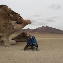 Arbol de Piedra, Steinbaum