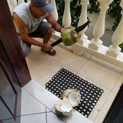 Fresh coconut!