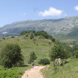 View of the citadel