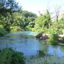 Stream from the springs