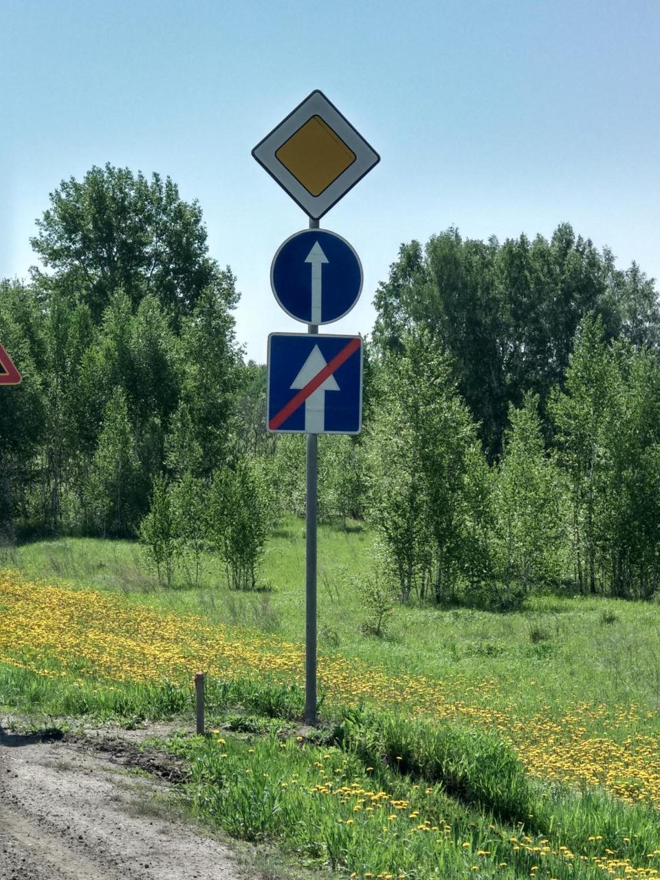 Geradeaus? Oder doch nicht?