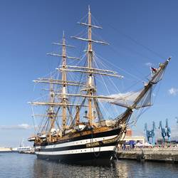 Spotted in Palermo Harbour