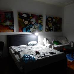 My roon