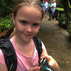 Penang Butterfly Farm