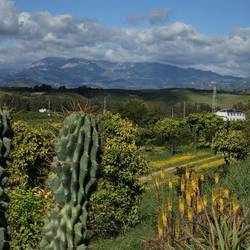 Though this is Spain, Cezanne would feel at home.