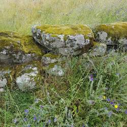 Würde ich mir sofort als Wohlfühlsessel nachschnitzen lassen