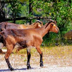 Hennes ist auch da :)