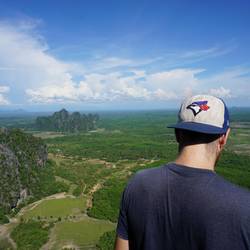 Le geai bleu su'l top du Mont Taung Wine.