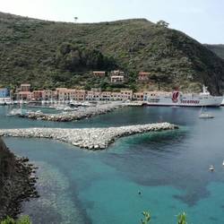 Hafen von Capraia