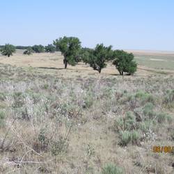Valley where the massacre took place. Only Native Americans can go down there.