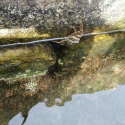 Unser Begrüßungskomitee