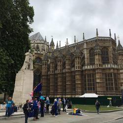 Westminster Abbey & Brexit Demonstranten