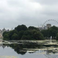 Ausblick Richtung Westminster