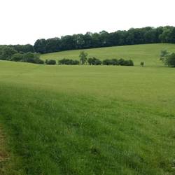 Rolling Hills near Dodington House