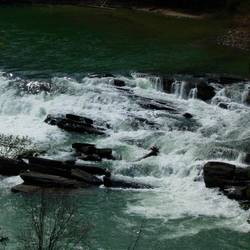 Fraser River @ Rearguard Falls [where the salmon STOP!]