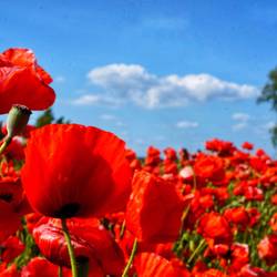 Der Umweg hat sich gelohnt finde ich...