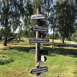 Da kann man sich nicht verlaufen