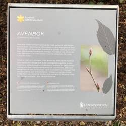 Für meine Bildung tut man hier auch etwas 😉