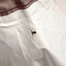 Monster am Morgen 😱