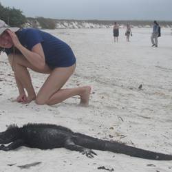 Playa Blanca mit Iguanas