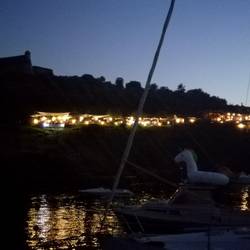 Einhorn bewundert die Lichter der Restaurants