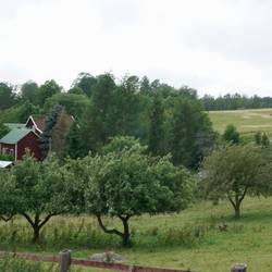 Bullerbü - drei Höfe und viel Landschaft