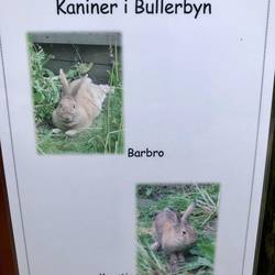 Toll, meine Namensvetterin in Bullerbü getroffen 😂