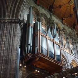 The organ pipes