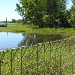 Croc proof fence on the pier