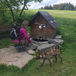 Und auch hier gab es wieder Tassen für das Quellwasser.