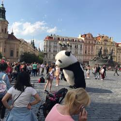 Till liebt diese Figuren, die er sonst nur vom Basketball in den USA kennt.