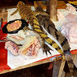 Belen Market - hier wird Kroko angeboten