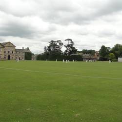 Cricket on the green