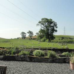View from cottage